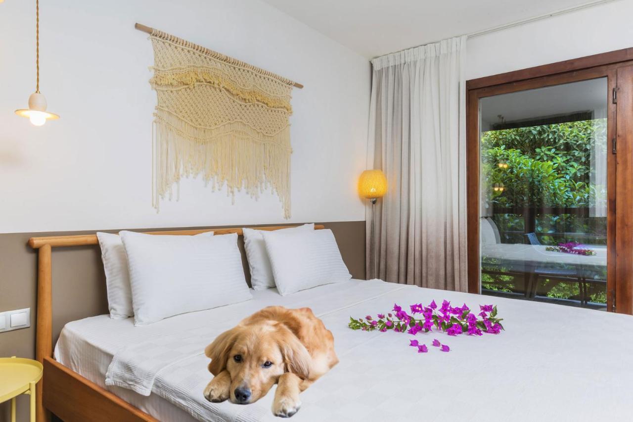 Faros Bodrum Hotel - Special Category Golturkbuku Εξωτερικό φωτογραφία